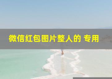 微信红包图片整人的 专用